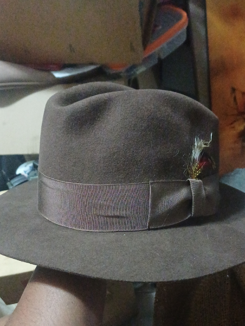 Classic Brown Fedora with Feather Trim